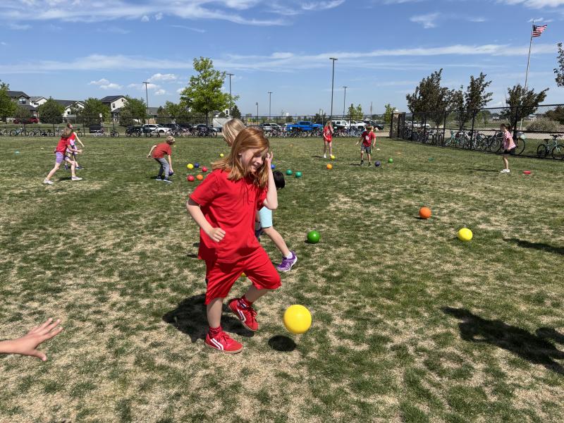 Field Day 2-3