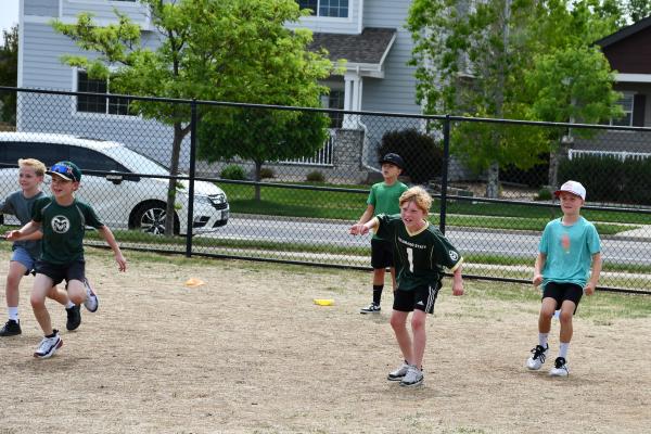 2-3 Field Day