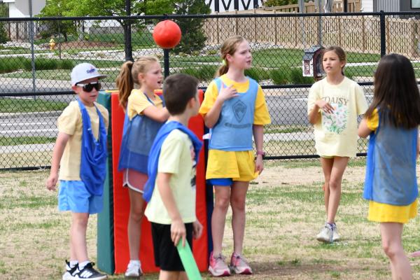 2-3 Field Day
