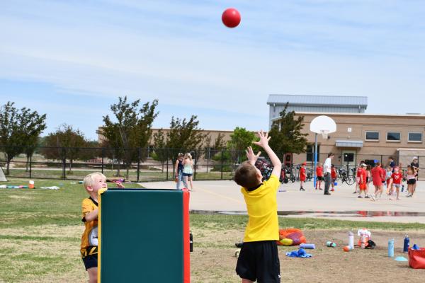2-3 Field Day