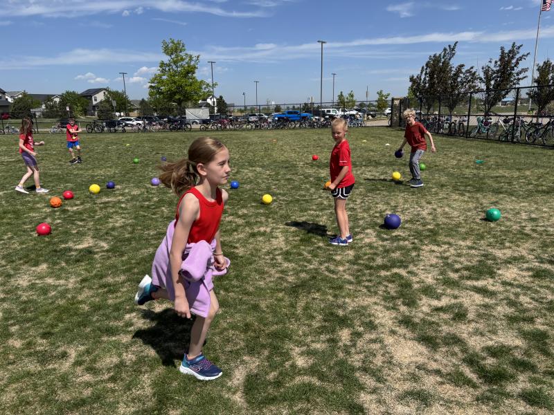 Field Day 2-3