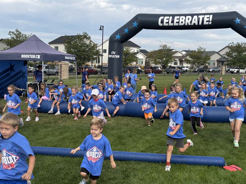 K-1 Bobcat Dash