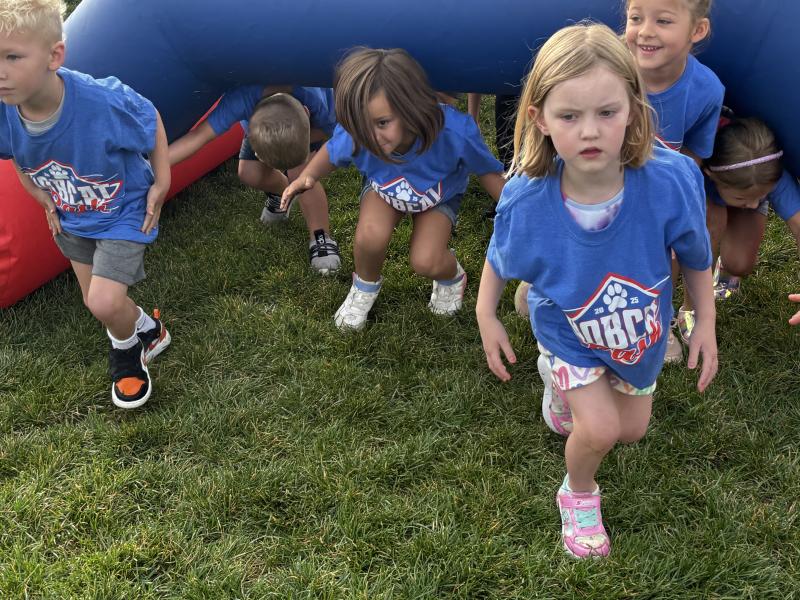 K-1 Bobcat Dash