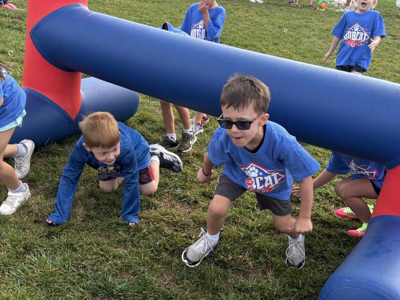 K-1 Bobcat Dash