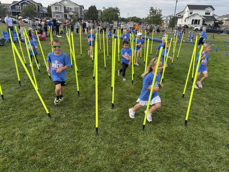 K-1 Bobcat Dash