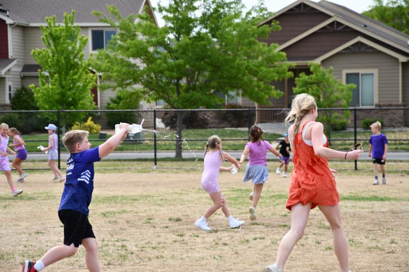 2-3 Field Day