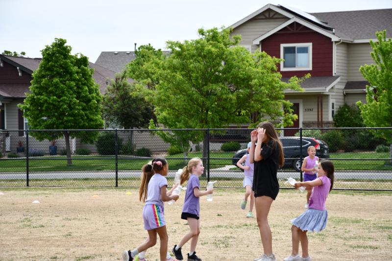 2-3 Field Day