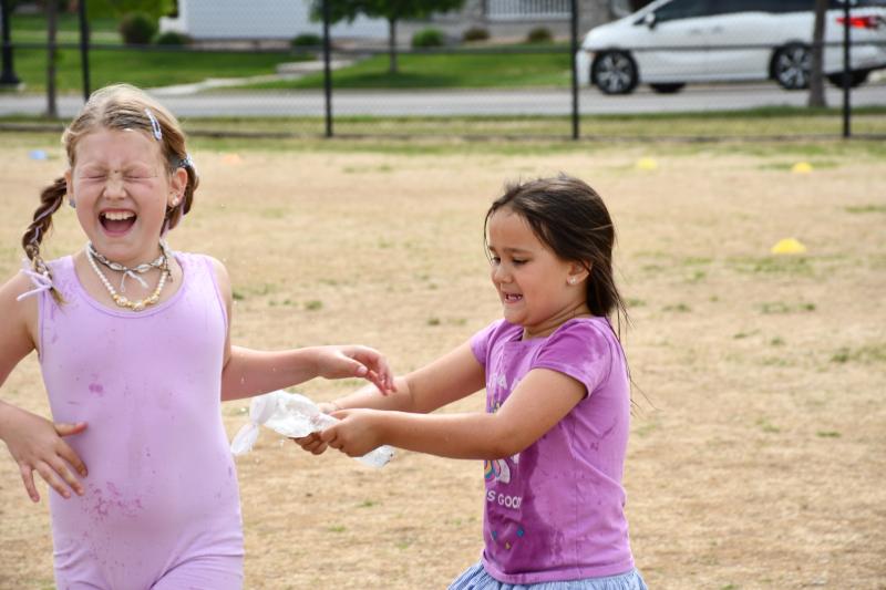 2-3 Field Day
