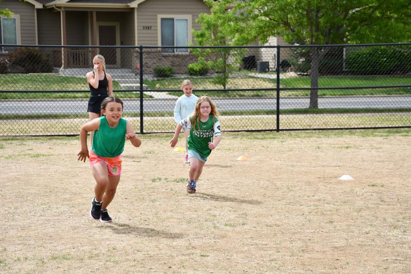 2-3 Field Day