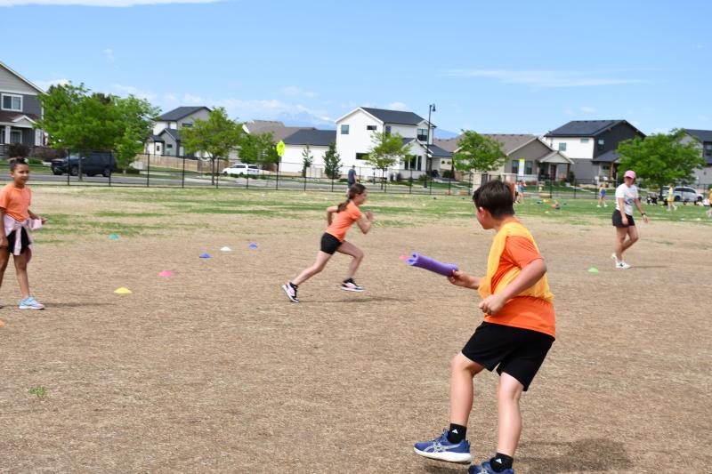2-3 Field Day