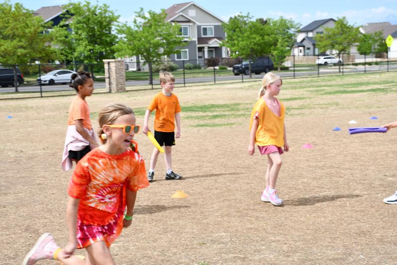 2-3 Field Day
