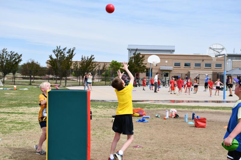 2-3 Field Day