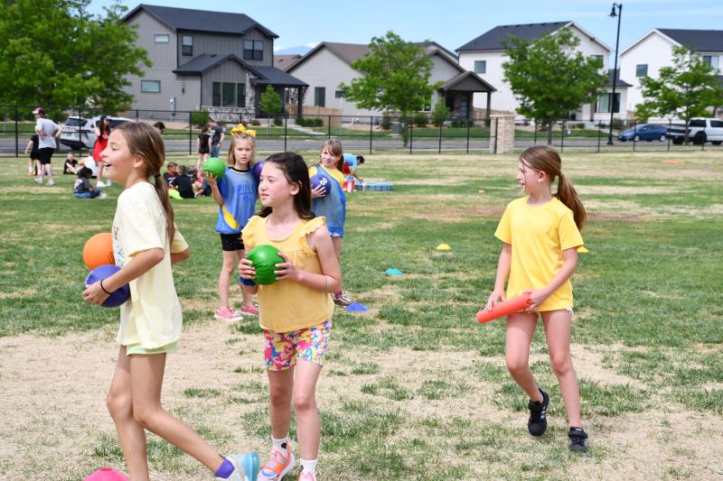 2-3 Field Day